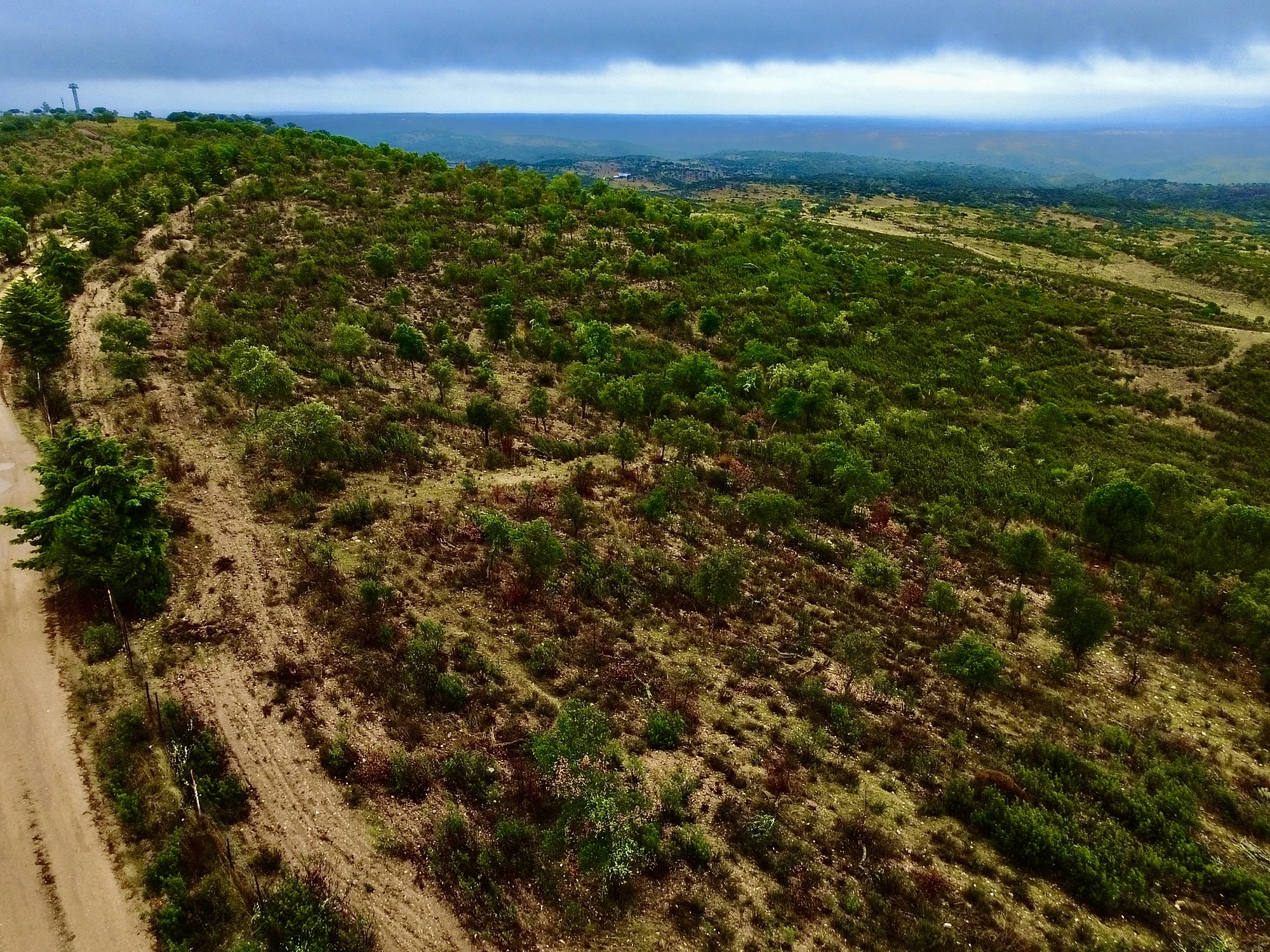 Herdade Agrícola, Florestal e de Caça com 148ha em Idanha-a-Nova